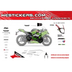 Kit adesivi Race replica Kawasaki SBK 2014 Street Version ZX10R