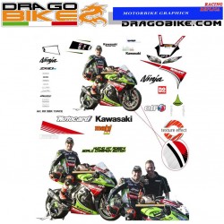 Race stickers kit Kawasaki SBK 2013 Tom Sykes