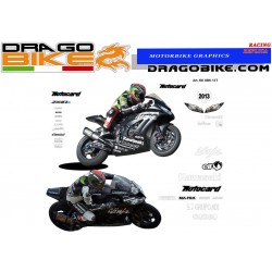 Race stickers kit Kawasaki SBK 2013 test