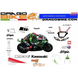 Kawasaki SBK 2013 replica Race stickers kit
