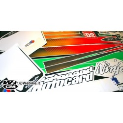 Kawasaki SBK 2012 Race replica stickers kit